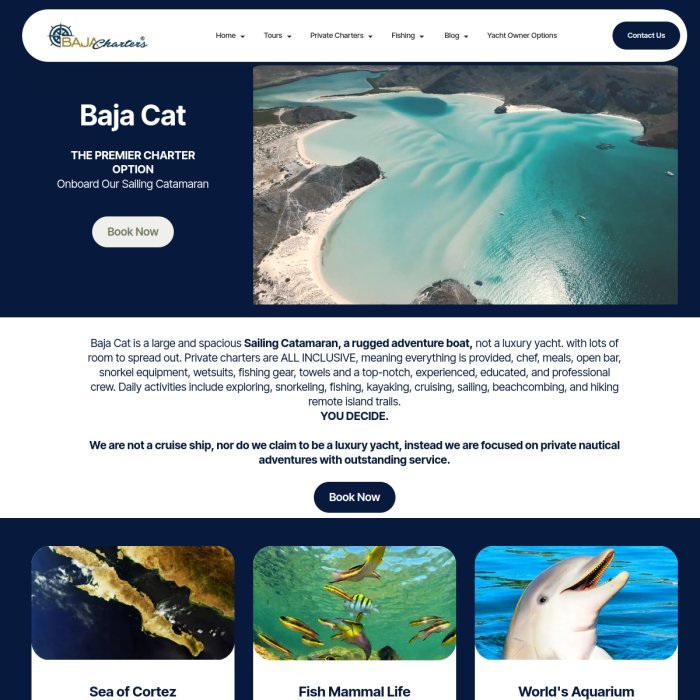 Screenshot of the Baja Cat website