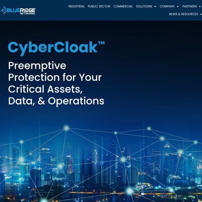 Screenshot of the Blue Ridge Networks website